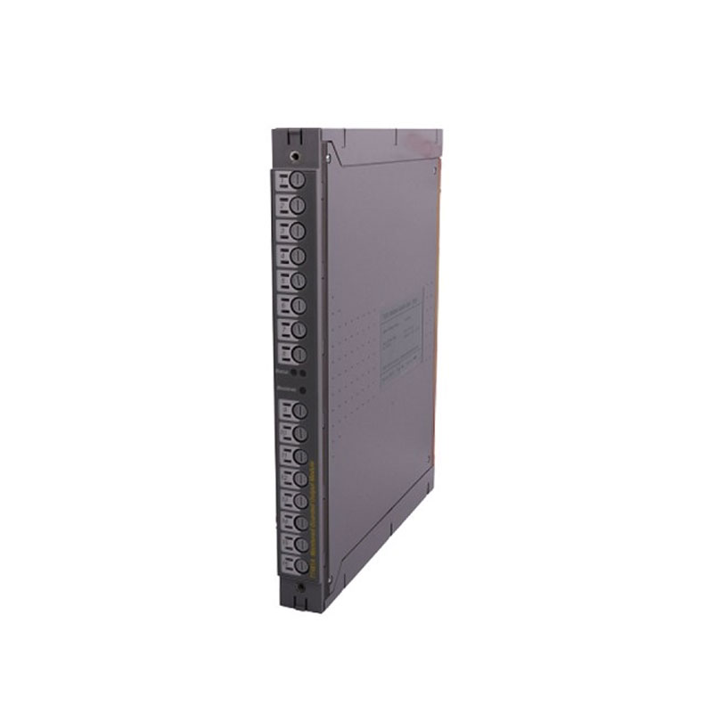 ICS Triplex T8431-2